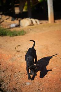 BIB: 
                            <button type="button" onclick="openModal(19338532)" class="btn btn-primary btn-sm float-right btn-popup" data-toggle="modal" data-target=".modal-high-quality">
                        <i class="fas fa-shopping-cart"></i> Add to Cart
                    </button>
                                            <button type="button" onclick="isThisMe(19338532, true)" class="btn btn-success btn-sm float-right btn-popup btn-isme hidden" data-toggle="tooltip" data-placement="bottom" title="นี่คือรูปของคุณใช่ไหม คลิกที่นี่เพื่อเอาเข้าอัลบั้ม">
                        <i class="fas fa-plus"></i> Add to album
                    </button>
                    <button type="button" onclick="isThisMe(19338532, false)" class="btn btn-warning btn-sm float-right btn-popup btn-isnotme hidden">
                        <i class="fas fa-ban"></i> Remove from album
                    </button>